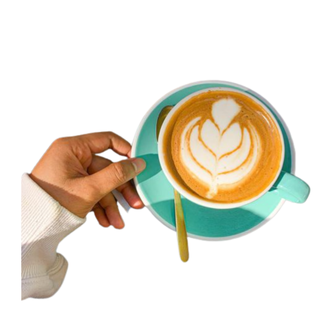Premier Tazze Barista Range 330ml